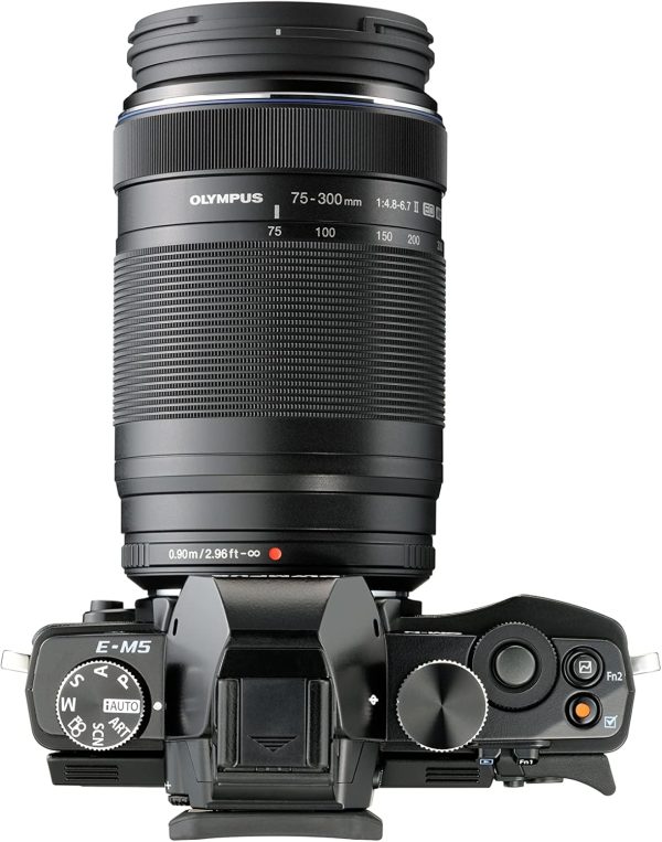 OLYMPUS M.Zuiko Digital 75-300mm F4.8-6.7 For Micro Four Thirds SYSTEM Camera, Compact Powerful Zoom lens, Outdoor - Image 5