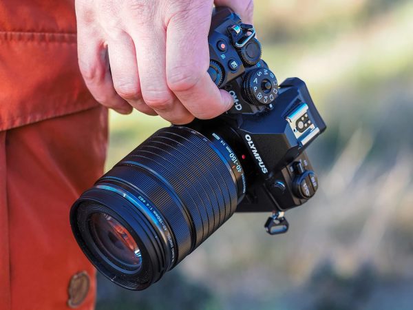 OM SYSTEM OLYMPUS M.Zuiko Digital 100-400mm F5.0-6.3 IS For Micro Four Thirds System Camera, Outdoor Bird Wildlife, Weather Sealed Design, Telephoto Compatible with Teleconverter - Image 3